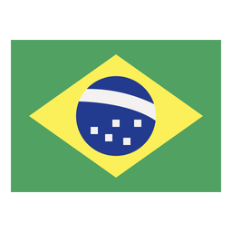 Brazil Flag  Icon