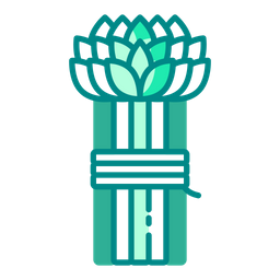 Asparagus  Icon