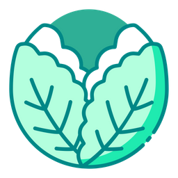 Cabbage  Icon