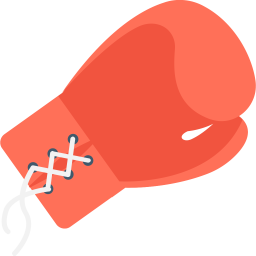 Boxing Glove  Icon