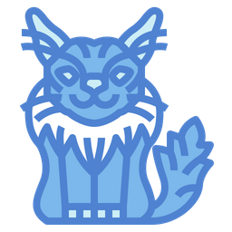 Maine Coon Cat  Icon