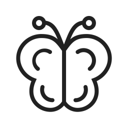 Butterfly  Icon