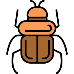 Beetle  Icon