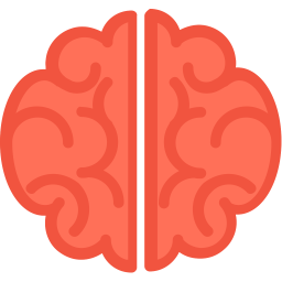 Brain  Icon