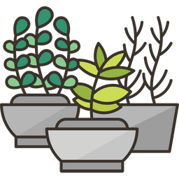 Herbs Garden  Icon