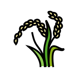 Aryza Plant  Icon