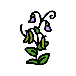 Pea Plant  Icon