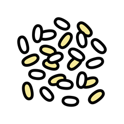 Rice  Icon