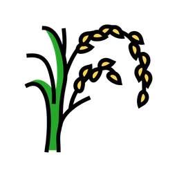 Rice Plant  Icon