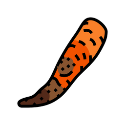 Rotten Carrot  Icon