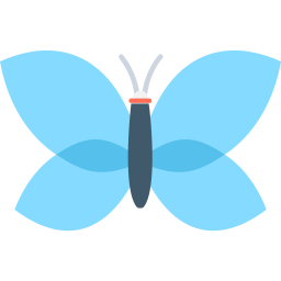 Papillon  Icône