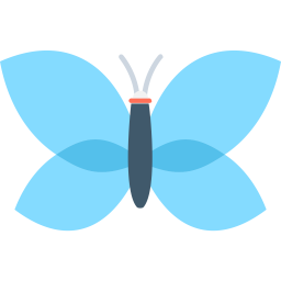 Butterfly  Icon