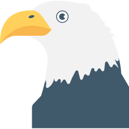 Eagle  Icon