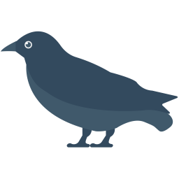 Crow  Icon