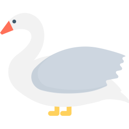 Duck  Icon