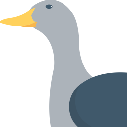 Duck  Icon