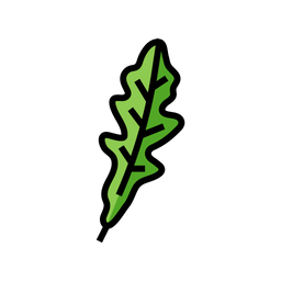 Arugula  Icon