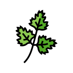 Chervil  Icon