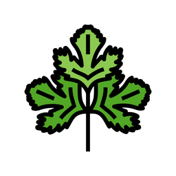 Cilantro  Icon