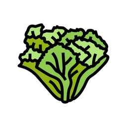 Escarole  Icon