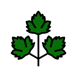 Parsley  Icon