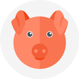 Pig  Icon