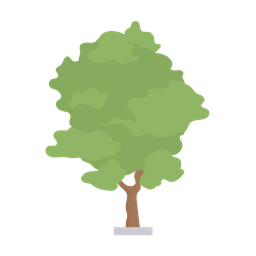 Ash tree  Icon