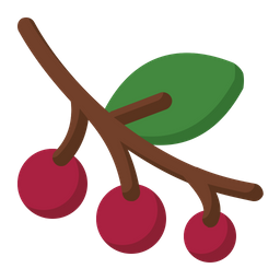 Berries  Icon