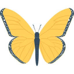 Butterfly  Icon