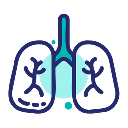 Lungs  Icon