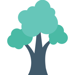 Cypress Tree  Icon