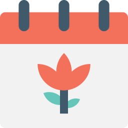 Calendar  Icon