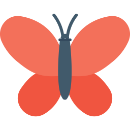 Butterfly  Icon