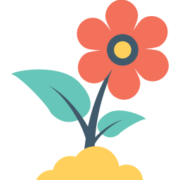 Buttercup Flower  Icon