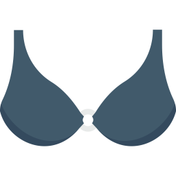 Bra  Icon