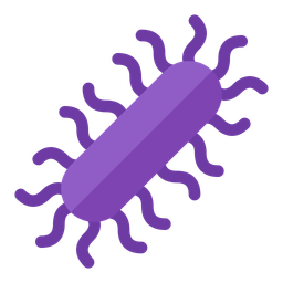 Bacteria  Icon