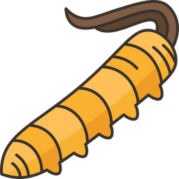 Cordyceps  Icon