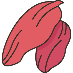 Goji  Icon