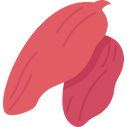 Goji  Icon