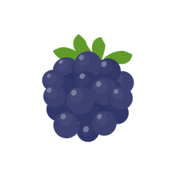 Blue Berry  Icon