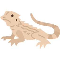 Bearded Lizard  Icon