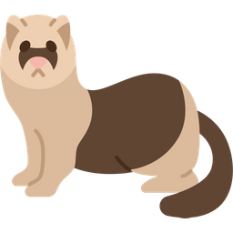 Ferret  Icon