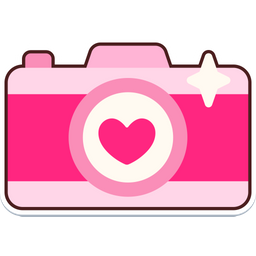 Camera Heart  Icon