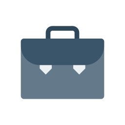 Bag  Icon