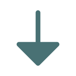 Arrow Down  Icon