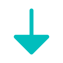 Arrow Down  Icon