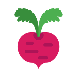 Beet  Icon