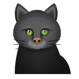 Black Cat  Icon