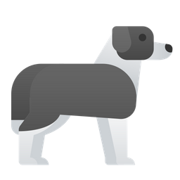 Border Collie  Icon