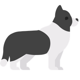 Collie fronterizo  Icono